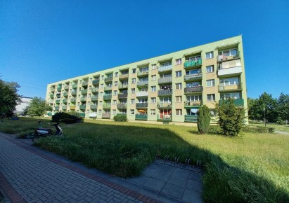 mieszkanie na sprzedaż - Knurów